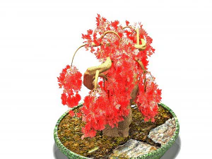 arce rojo Modelo 3D