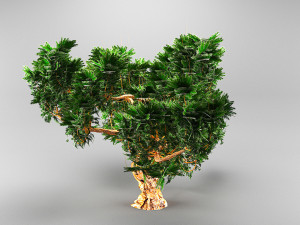 spruce tree Model 3D