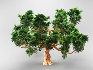 abeto Modelo 3D