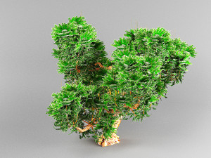 spruce tree Model 3D