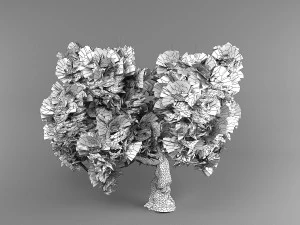abeto Modelo 3D