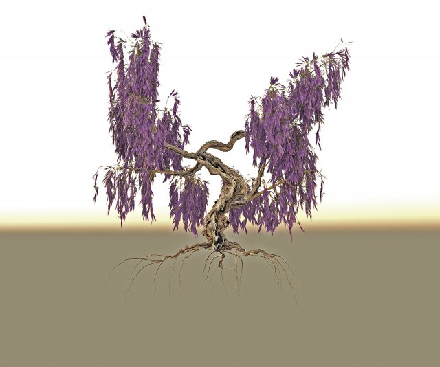 wisteria 3D मॉडल .c4d .max .obj .3ds .fbx .stl .blend 
