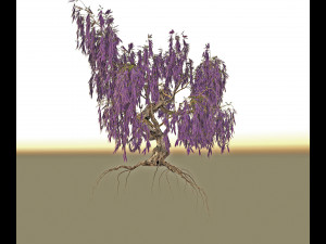 wisteria 3D मॉडल