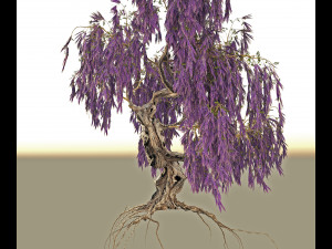 wisteria 3D मॉडल