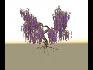 wisteria 3D मॉडल