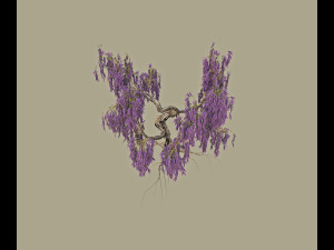 wisteria 3D मॉडल
