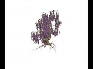 wisteria 3D मॉडल