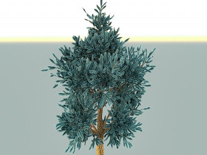 blue spruce Model 3D