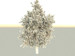 blue spruce Model 3D