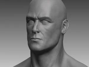 anatomical body base mesh 3D Model