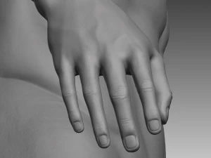 anatomical body base mesh 3D Model