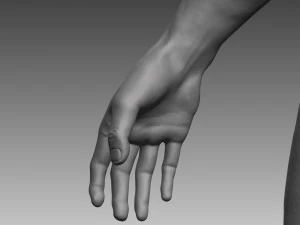 anatomical body base mesh 3D Model
