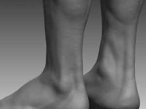 anatomical body base mesh 3D 模型