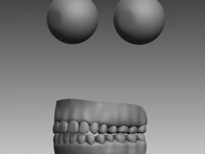anatomical body base mesh 3D Model