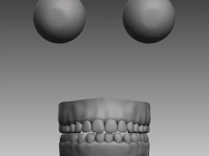 anatomical body base mesh 3D Model