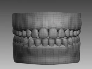 anatomical body base mesh 3D Model