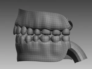 anatomical body base mesh 3D Model