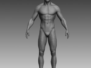 anatomical body base mesh 3D 模型