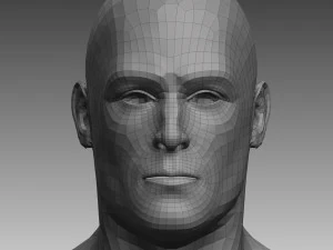 anatomical body base mesh 3D Model
