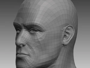 anatomical body base mesh 3D Model