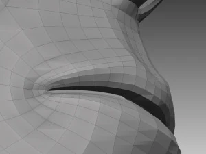 anatomical body base mesh 3D Model