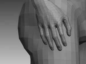anatomical body base mesh 3D Model