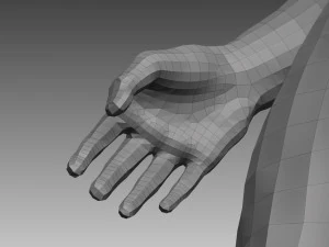 anatomical body base mesh 3D Model