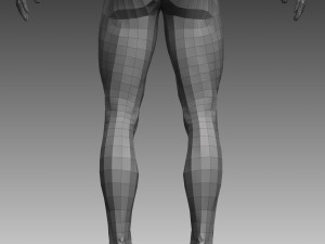 anatomical body base mesh 3D 模型
