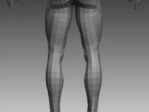 anatomical body base mesh 3D Model