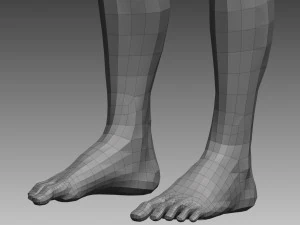 anatomical body base mesh 3D Model