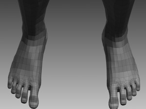 anatomical body base mesh 3D 模型