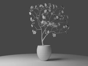 pink blossom cherry 3D Model