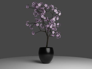 pink blossom cherry 3D Модель