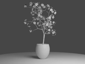 pink blossom cherry 3D Model