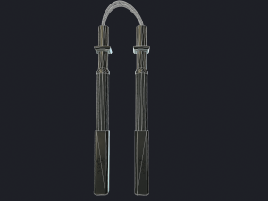 dragon nunchucks 3D 模型
