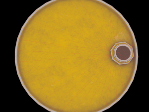 radiation metal drum ow-poly Model 3D