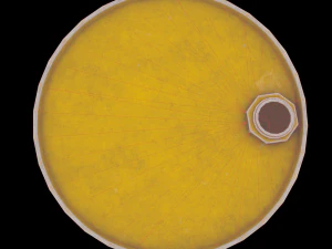 radiation metal drum ow-poly 3D Model