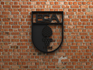 fc augsburg logo 3D 打印模型