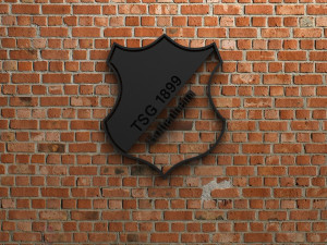 tsg 1899 hoffenheim logo 3D Print Model