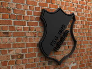 tsg 1899 hoffenheim logo 3D Print Model