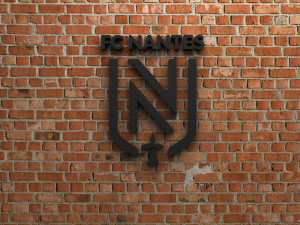 fc nantes logo 3D Print Model