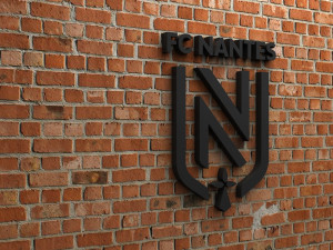fc nantes logo 3D Print Model