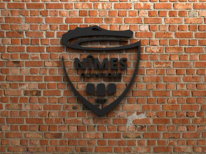 Nimes Olympique-Logo 3D Druckmodell