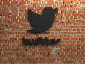 twitter logo 3D Print Model