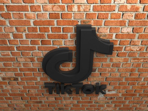 tiktok logo 3D 프린트 모델
