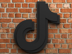 tiktok logo 3D 프린트 모델