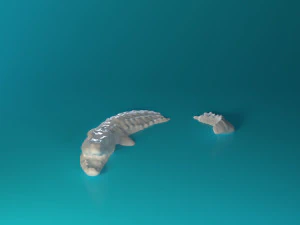Swimming Crocodile 3D Print Model