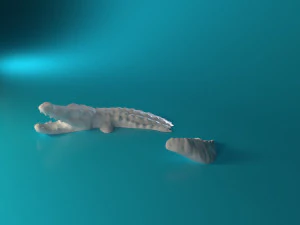 Swimming Crocodile 3D Print Model