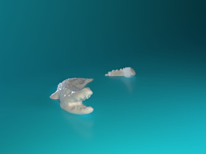 Swimming Crocodile 3D 프린트 모델