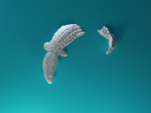 Swimming Crocodile 3D 프린트 모델